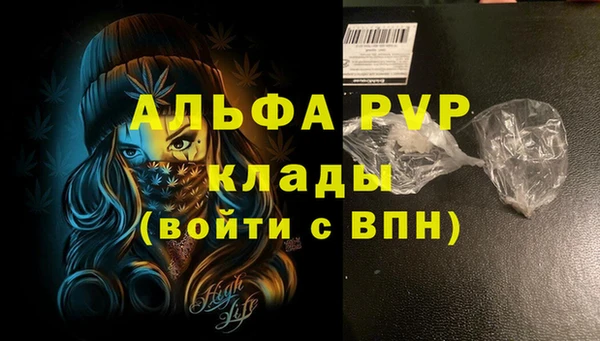 стафф Верхний Тагил