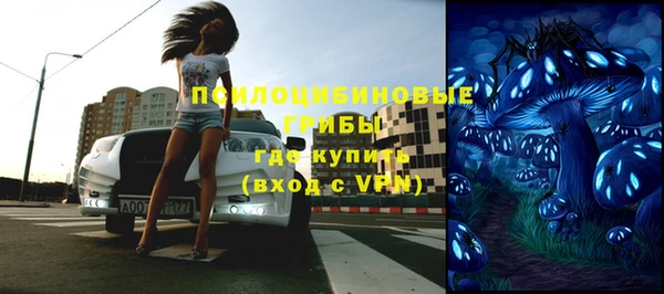 стафф Верхний Тагил